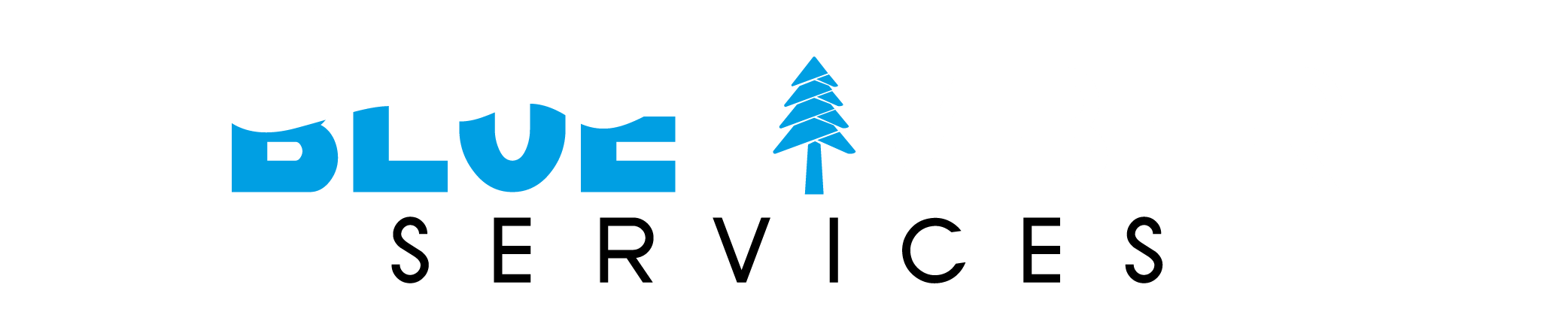 BlueTimber Services Logo